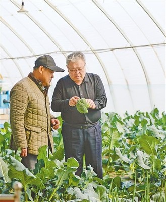内蒙古乌兰察布农技专家关慧明,从事农技研发和推广38年-- 帮农民建大棚 给蔬菜当医生(讲述·一辈子一件事)