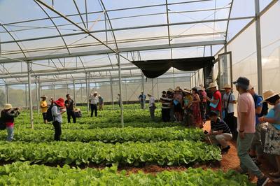 全省瓜菜新品种新技术现场观摩会在儋州召开