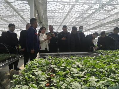 我校举办“河南省南阳市 2022 年基层农技人员能力提升线下培训班”